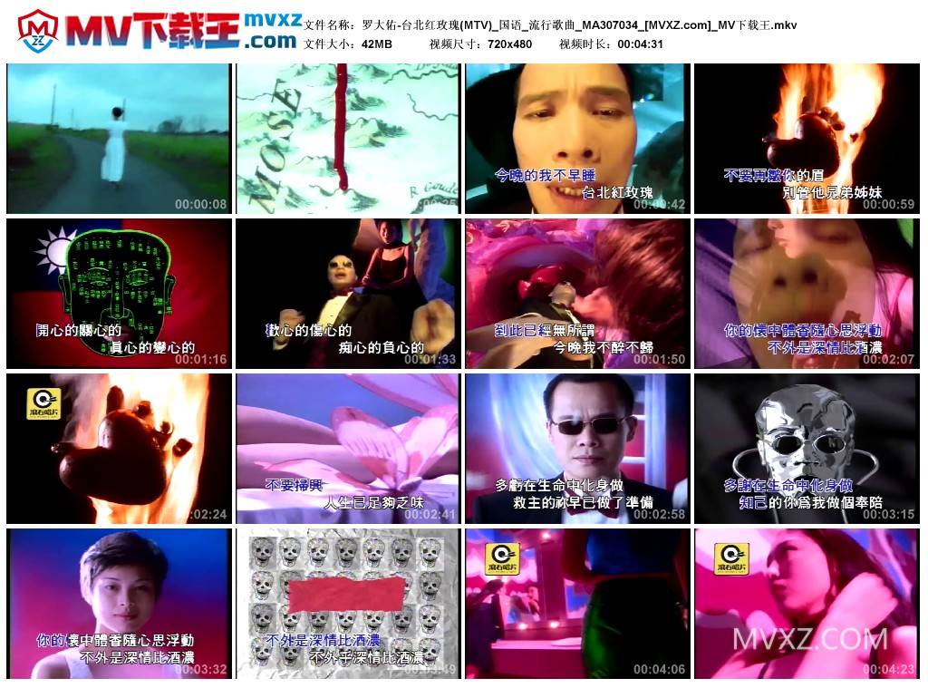 罗大佑-台北红玫瑰(MTV)_国语_流行歌曲_MA307034